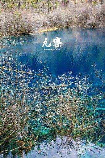 救援小洋葱